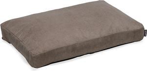 Actual product image Beeztees Veo (Dog)