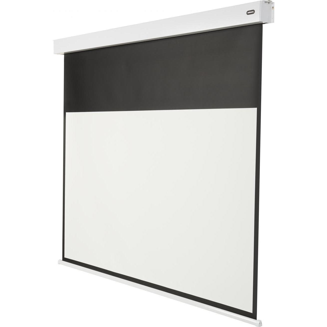 Celexon Motorleinwand Batterie V2.0 Motor Pro Plus 300x169 cm 16:9 (54", 16:9), Leinwand, Weiss