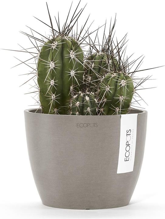 Immagine prodotto Ecopots Stoccolma