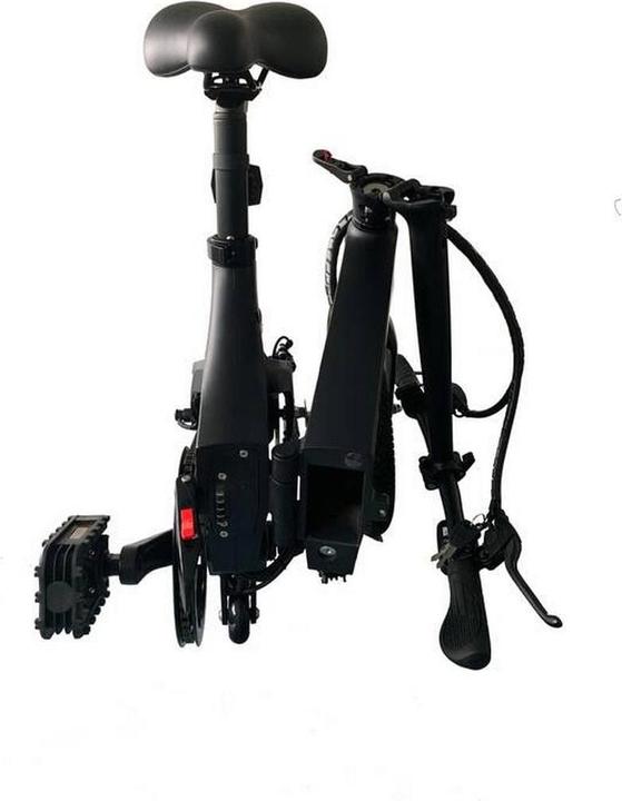 Actual product image Ocean Drive Ora (20 cm)