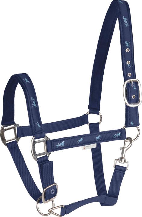 Bleu marine