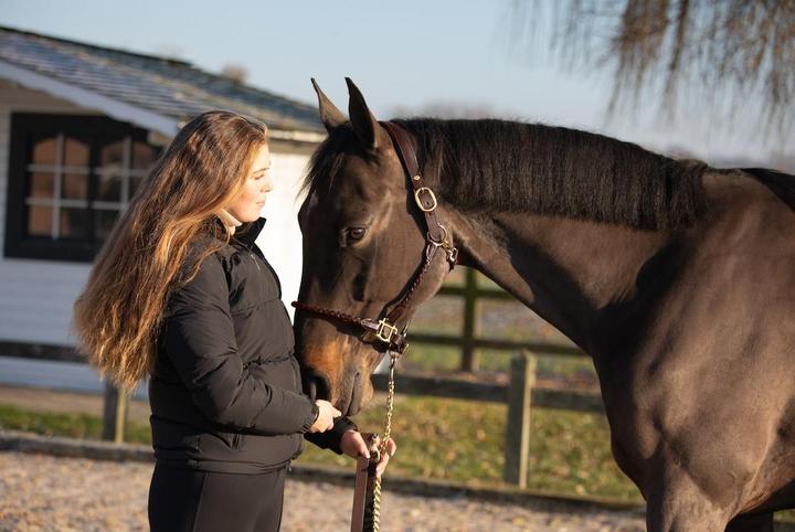 Produktbild HFI Master Halfter aus Leder