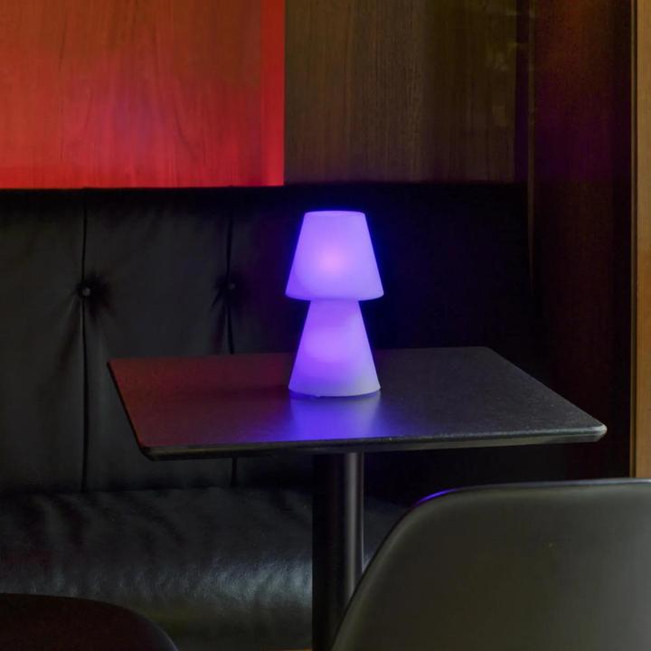 Image du produit Newgarden Lola