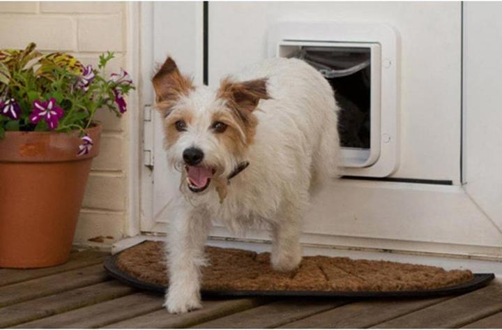 Actual product image SureFlap Pet flap microchip (Microchip Cat Flap)