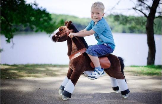 Produktbild PonyCycle Medium