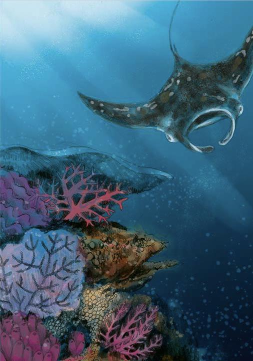 Actual product image Wonderful world of animals in the sea - read by Jakob Graf (Chae Strathie, German)