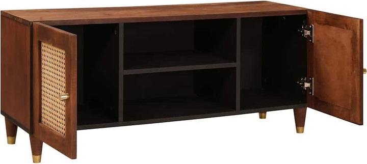 Actual product image vidaXL TV-Schränk (33.50 x 105 x 46 cm)