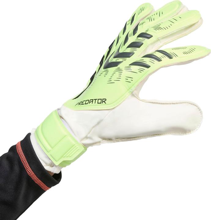 Produktbild Adidas Predator Training Herren Torwarthandschuhe (11.5)