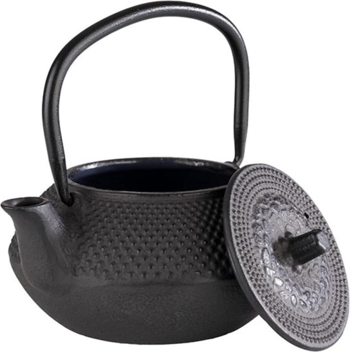 Actual product image APS Teekanne "ASIA" (0.30 l)