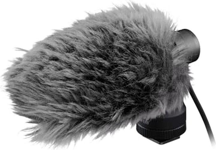 Actual product image Canon DM-E100
