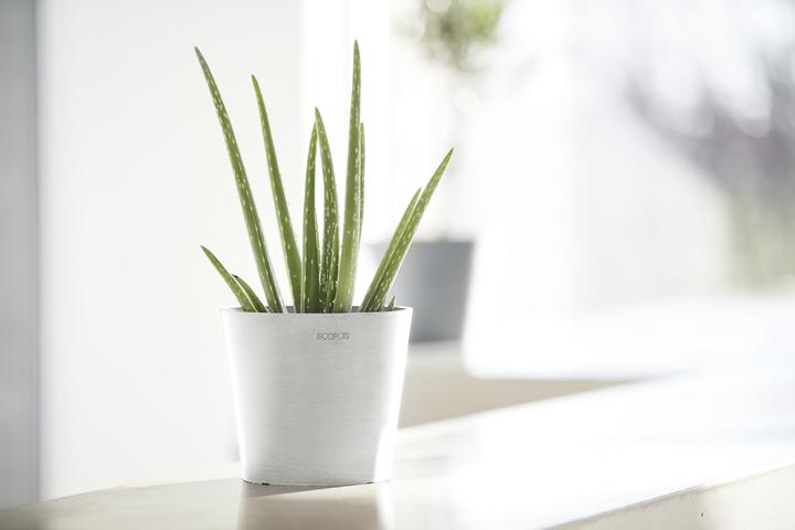 Produktbild Ecopots Amsterdam Mini (17 x 14.70 cm)