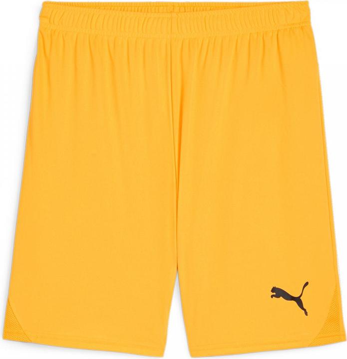 Actual product image Puma teamGOAL shorts (XXL)