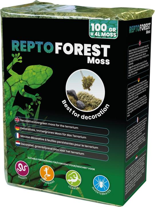 Actual product image Repto Plant Forest Moss