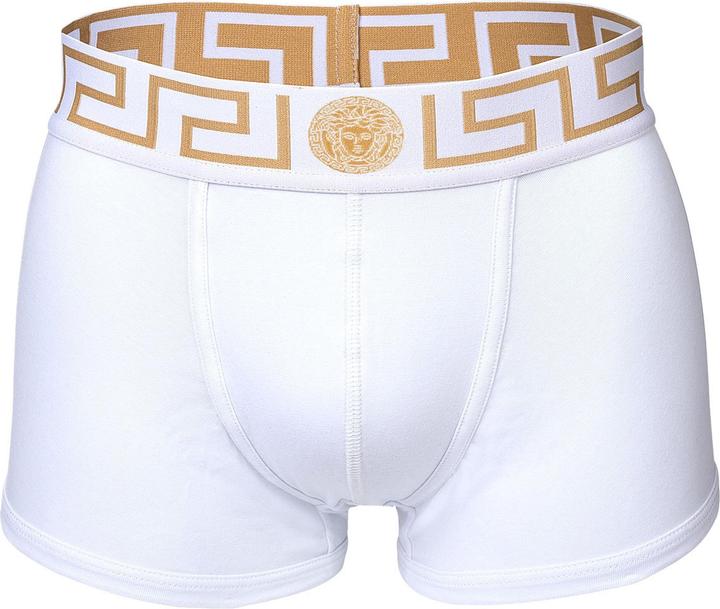 Image du produit Versace Underpants Tri-Pack Trunk Jersey Topeka Bi-Stretch Cotton Organic New Logo (L, Lot de 3)
