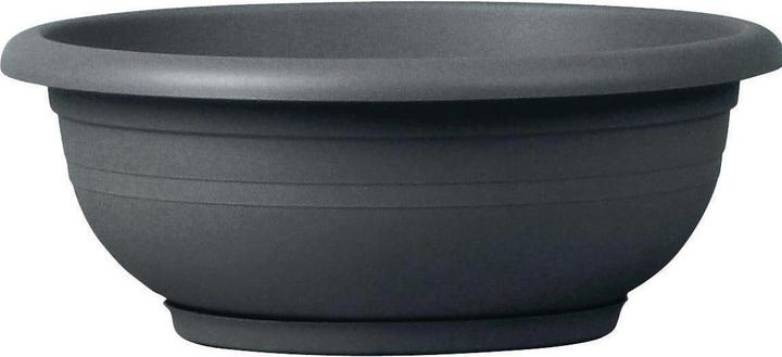 Produktbild Herstera Ebla (30 x 12 cm)