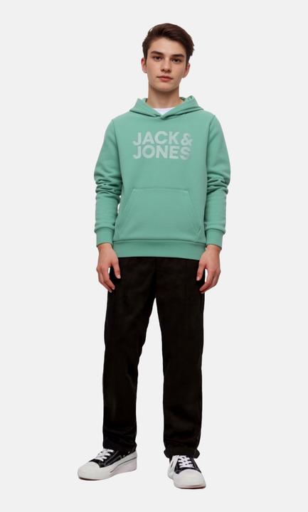 Actual product image Jack & Jones Jjecorp Logo Sweat Hood Noos Jnr (164)