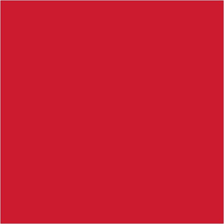 Immagine prodotto Creativ Company carta velina 50 x 70 cm (14 g/m², 25 x)