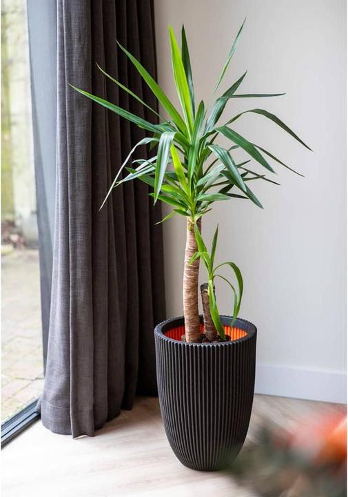 Produktbild Capi Tripp (46 x 58 cm)