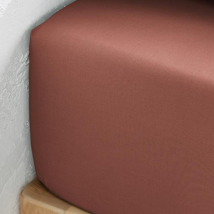 Immagine prodotto La Redoute Interieurs Fixleintuch Scenario aus Baumwollperkal (90 x 190 cm)