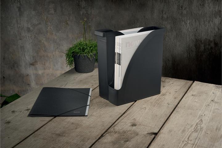 Actual product image Leitz Recycle A4 magazine file (A4)
