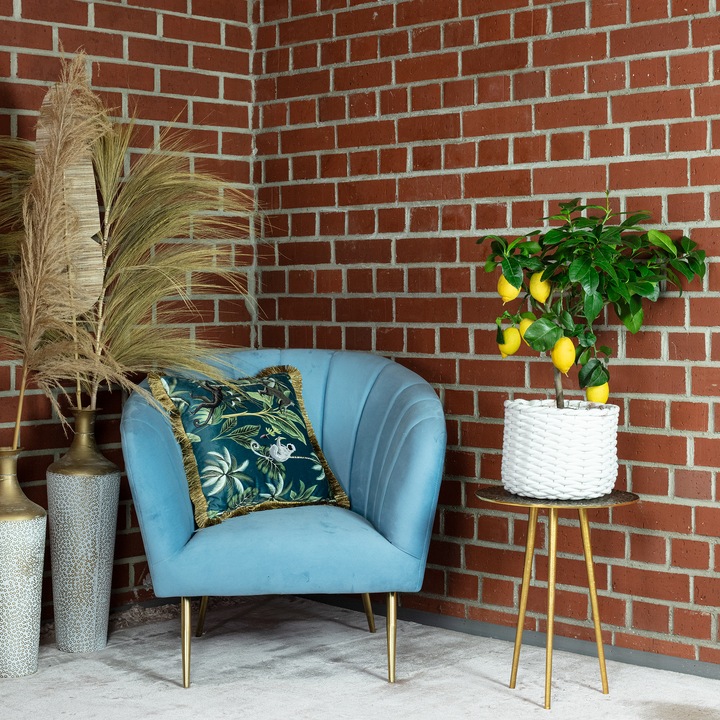 Actual product image Flowerbox Lemon tree - height ca. 60 cm, pot-Ø 19 cm - Citrus Limon (40 cm)