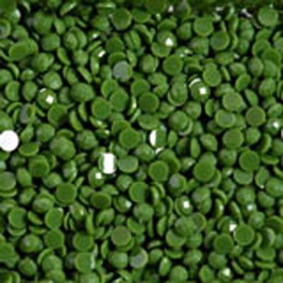 Vert Loden
