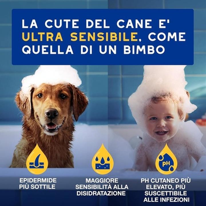 Actual product image Douxo Skin & Coat Spa Ultrasafe Oatmeal Conditioner (Dog)