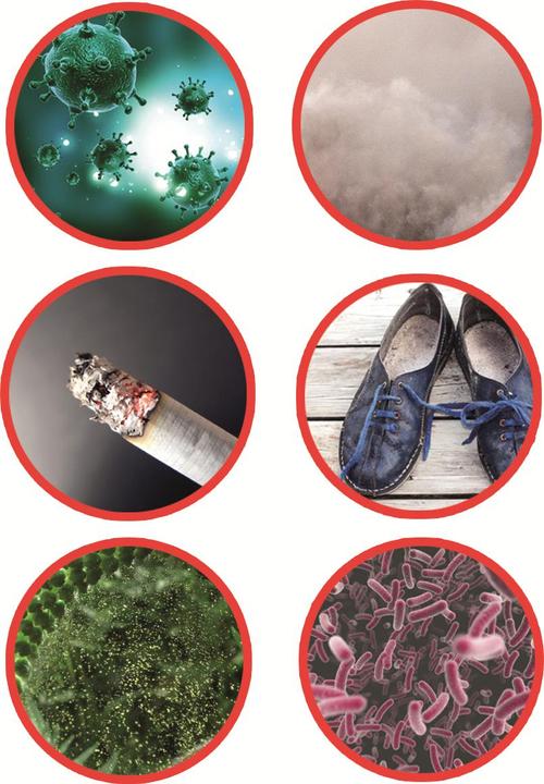 Produktbild Starlyf Air Luxe