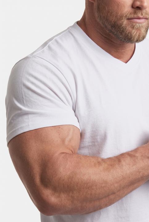 Immagine prodotto Men+ T-Shirt, Basic, 2er-Pack, Halbarm, V-Ausschnitt (XL)