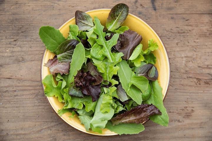 Image du produit Zollinger Bio Laitue à tondre, Misticanza