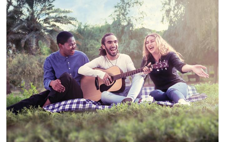 Produktbild Yamaha F310II Westerngitarre (Akustik Gitarre, Meranti, Spruce)