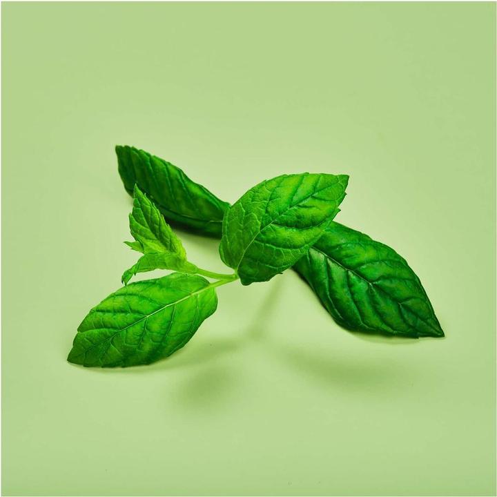 Immagine prodotto Plantui Menta (Semi di erbe)