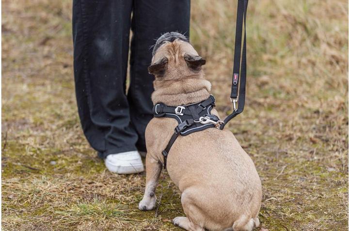 Image du produit Trixie Premium FlexMesh harness, wide fit,XS–S:40–57cm/15mm,black (S, XS, Chien, Général, Promenade)
