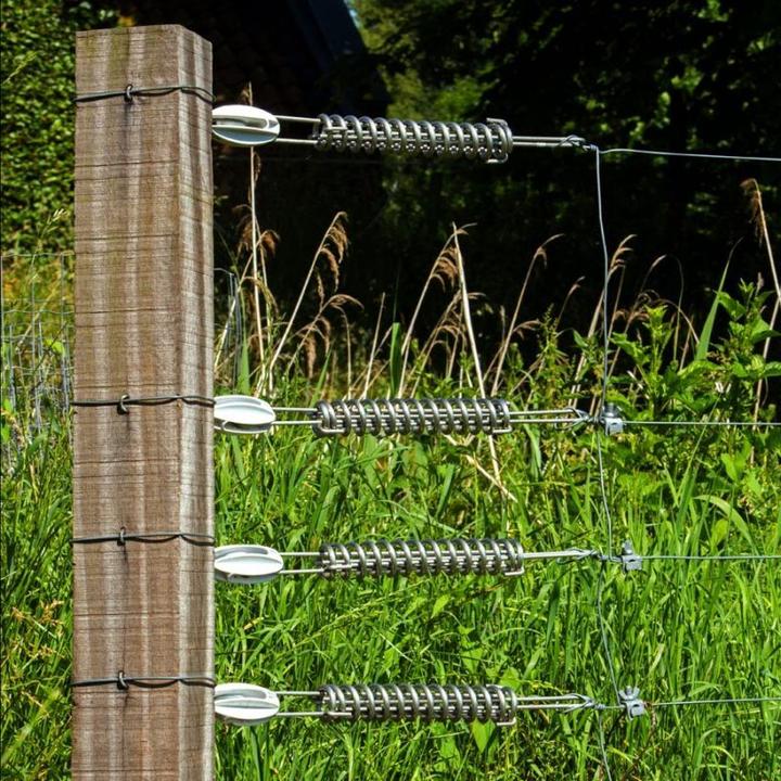 Actual product image Gallagher Wire spring