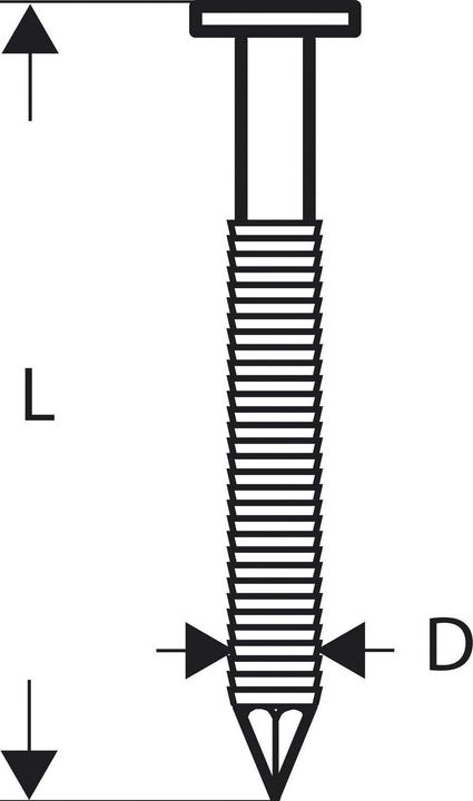Bosch Professional Zubehör Clou strié à tête ronde SN21RK 65RHG 2,8 mm, 65 mm, galvanisé à chaud, strié