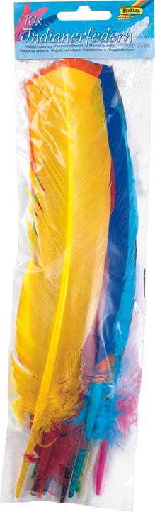 Actual product image Folia Indian feather