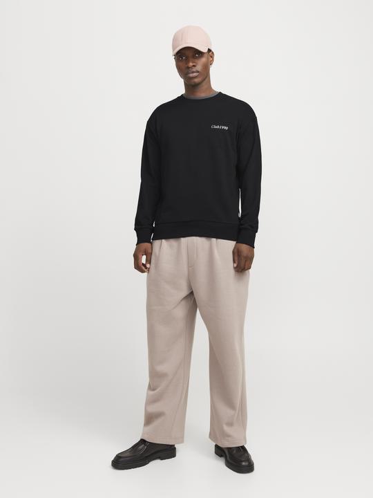 Actual product image Jack & Jones Jjebradley Graphic Sweat Crew Noos (M)