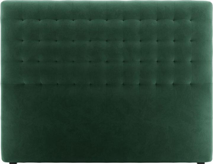Black Plastic, Green