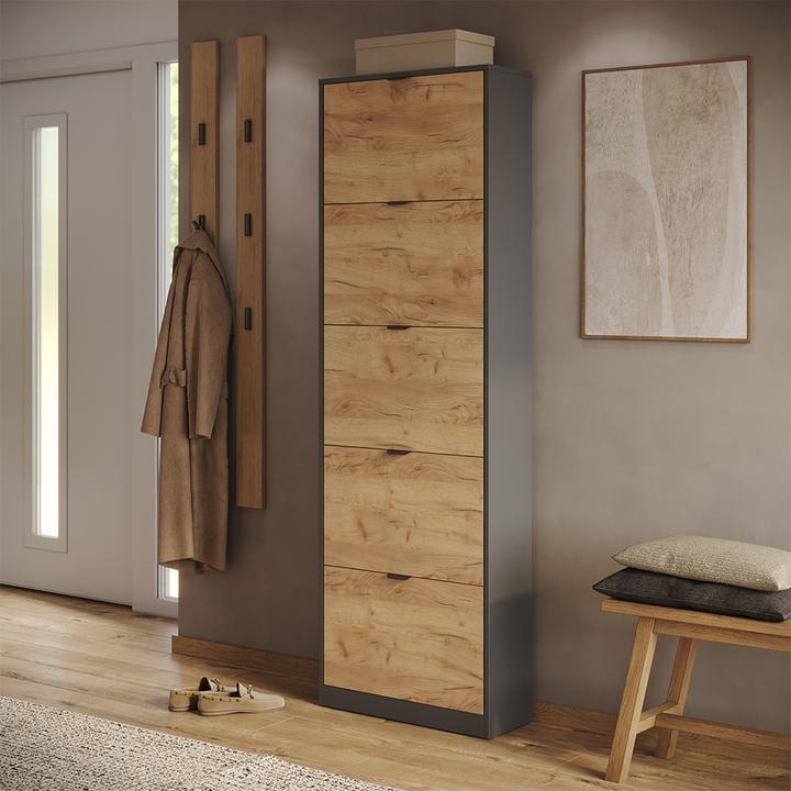 Produktbild Vicco Schuhkipper Gizmo, Goldkraft Eiche/Anthrazit, 59 x 181.1 cm mit 5 Fächern (22 x 59 x 181.10 cm)