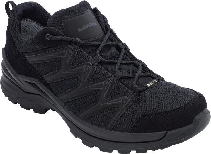 Image du produit Lowa Innox Pro GTX LO TF (45)