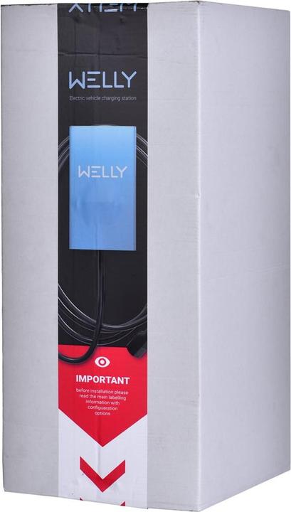 Produktbild Enelion Aufladestation wallbox Welly (11 kW)