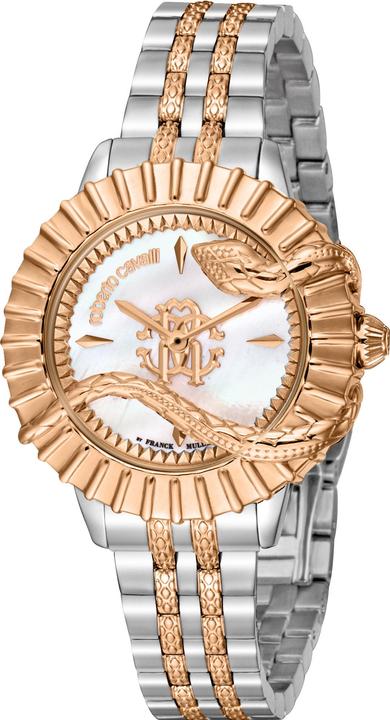Immagine prodotto Roberto Cavalli by Franck Muller RV1L213M0091 (Orologio da polso analogico, 33 mm)