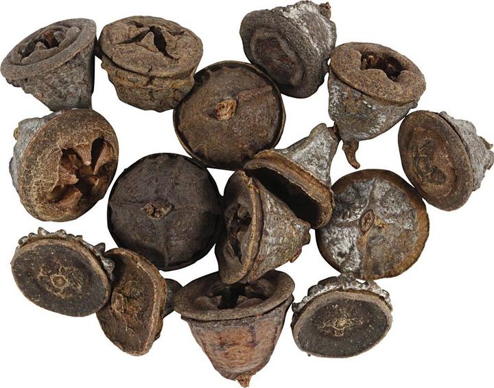 Immagine prodotto Creativ Company Frutti di eucalipto