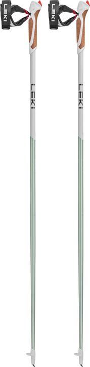 Leki Passion (110 cm)