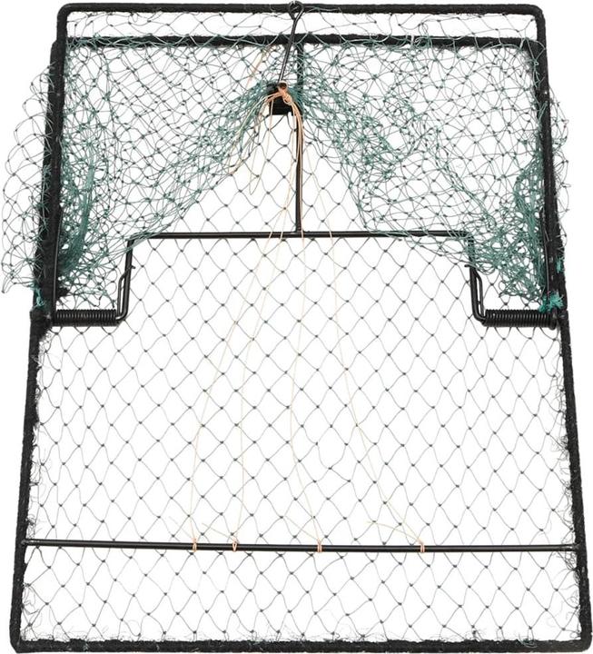 Image du produit vidaXL Piège à oiseaux 50 x 40 cm