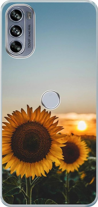 Sonnenblumen