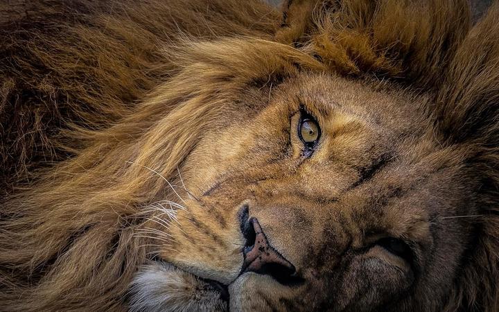 Productafbeelding Olympus OM Digital M.Zuiko Digital 75-300mm II (Micro Vier Derde, Micro Vier Derde)