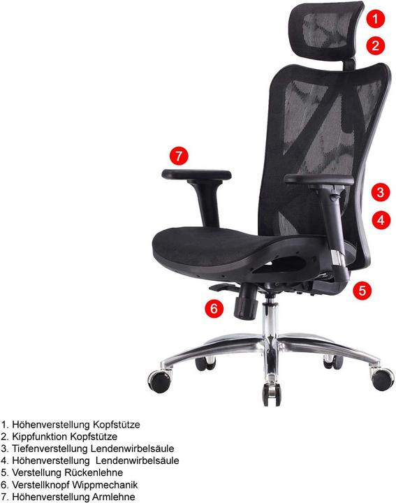 Image du produit Sihoo Chaise de bureau avec soutien lombaire