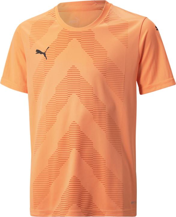 Puma teamGLORY Jersey Jr (116)