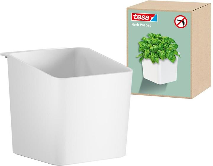 Pot d'herbes aromatiques (13.50 cm)